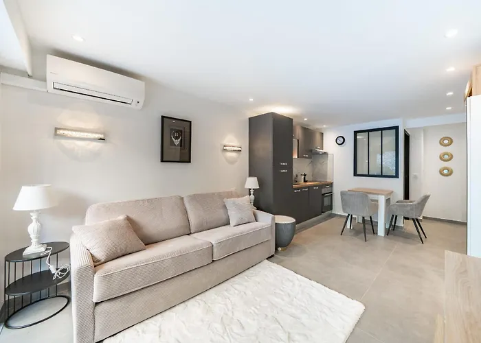 Charming Bright With Spacious Outdoor Area Apartment Cannes