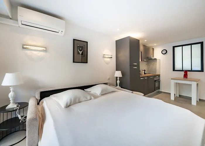 Charming Bright With Spacious Outdoor Area Cannes